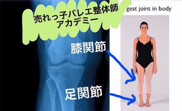 膝関節と足関節