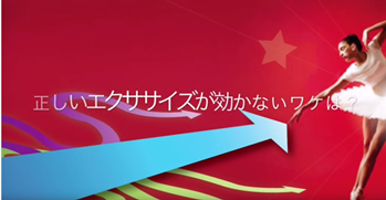 正しいエクササイズが効かないワワは？